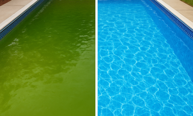 Green Pool Tennessee: Quick Restoration Tips